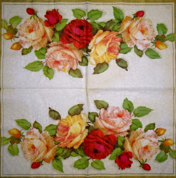 170 Rosen - 3-lagig (creme) - Ihr
